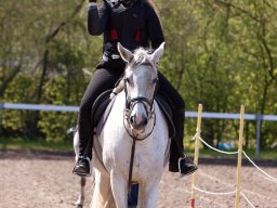 IMG_1660_web